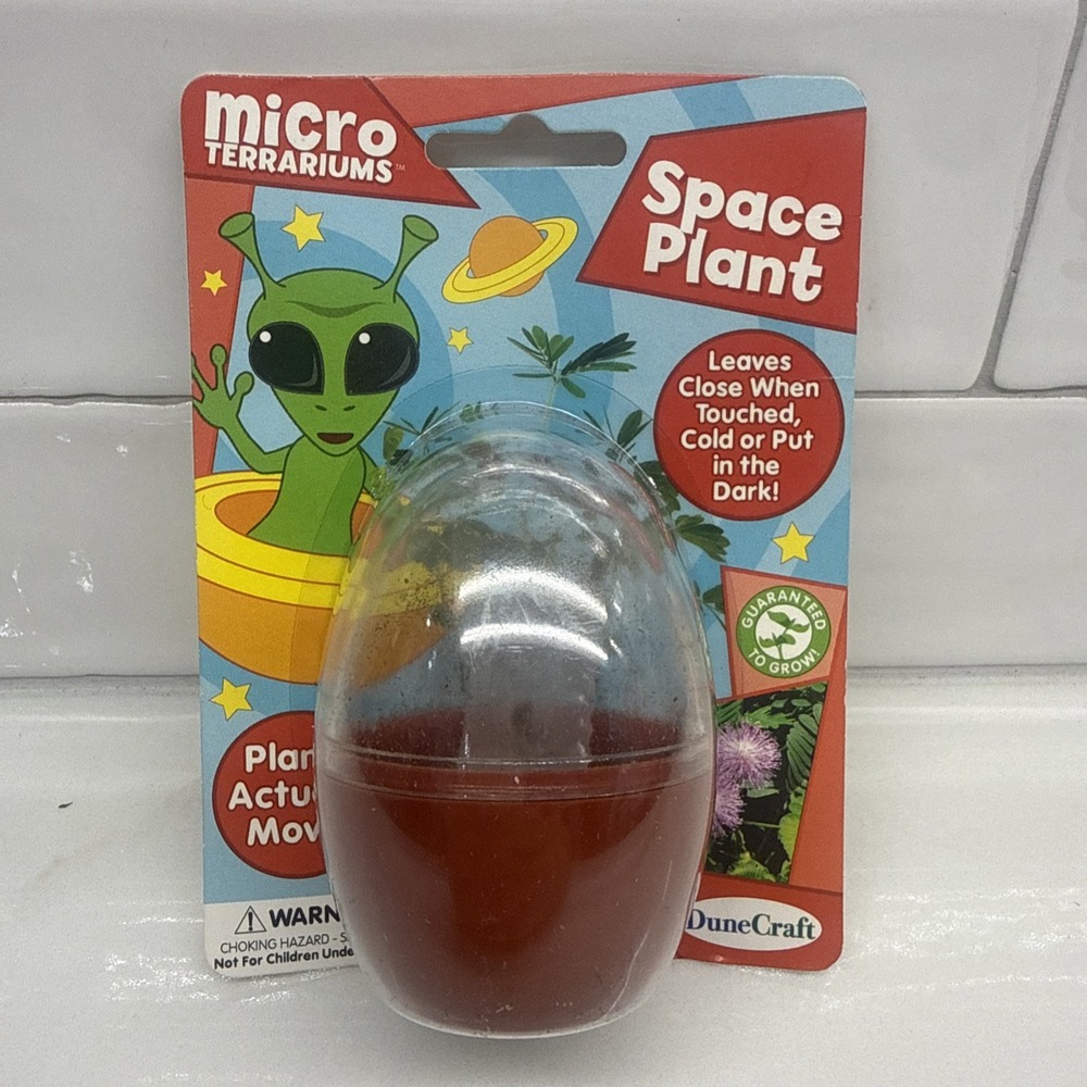 DuneCraft Space Plant Micro Terrarium Mimosa Pudica Moving Touch Sensitive Plant